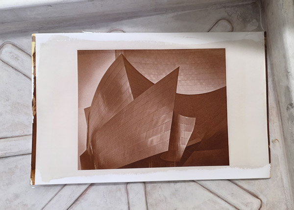 Platinum-Paladium prints